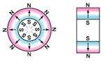 Magnetism direction - radially oriented