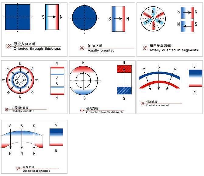 Magnetization Direction of Rare Earth Neodymium Magnets